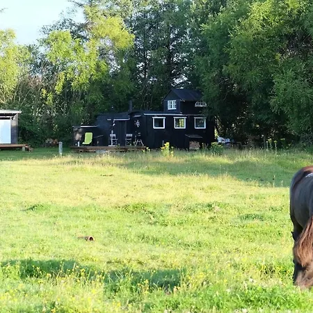 Romantic Circus Wagon * Bindslev